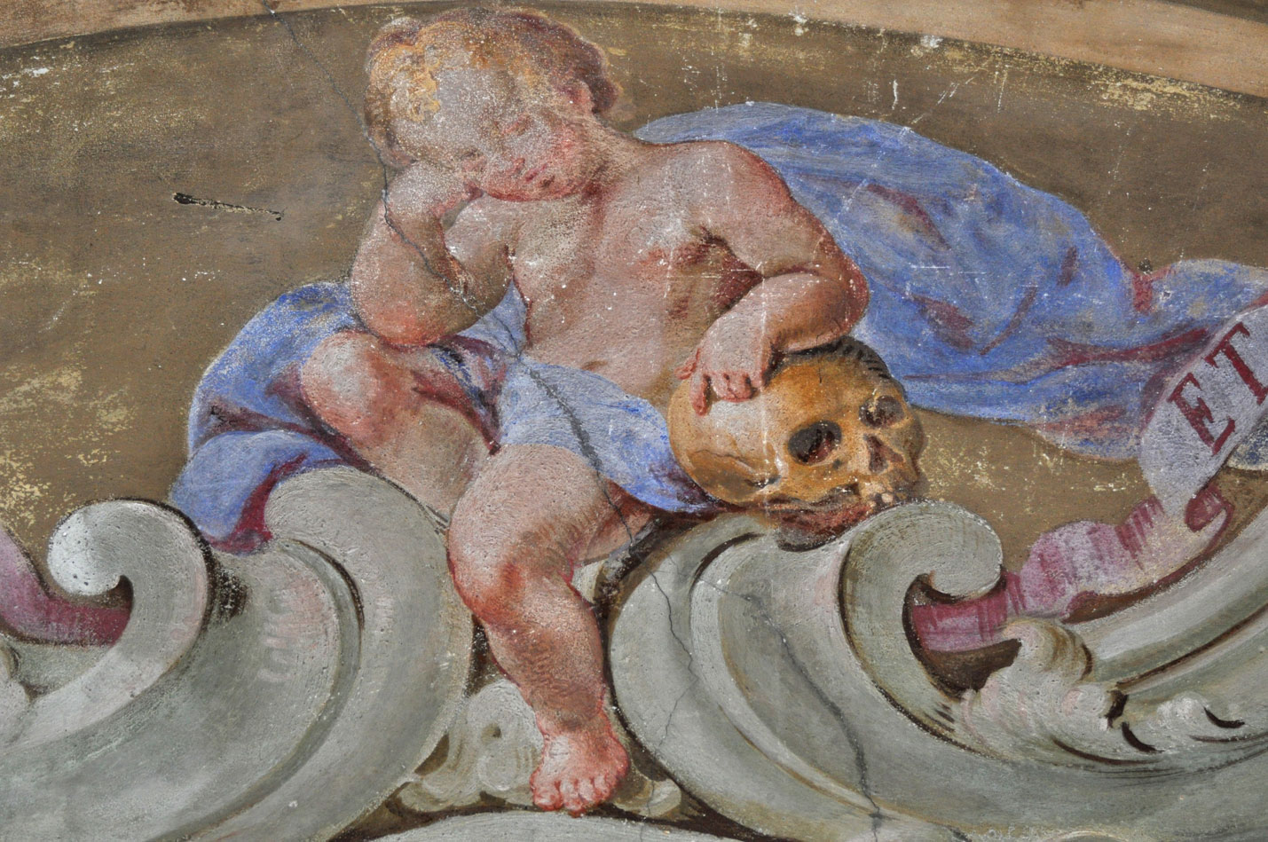 Chiesa di Santa Croce Ivrea Putto in meditazione coro